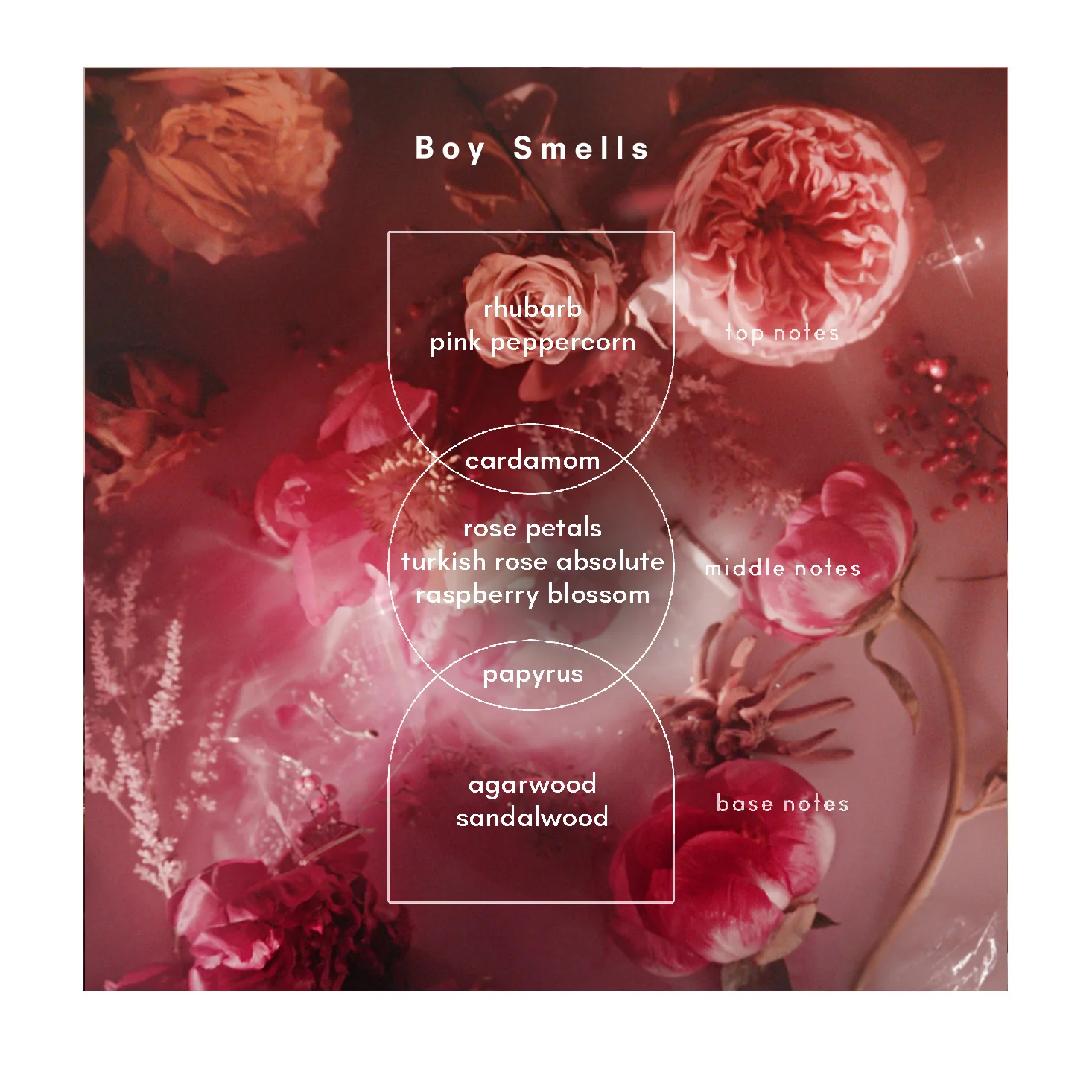 SALE - Boy Smells Rose Load Eau de Parfum - 10ml - Image 4