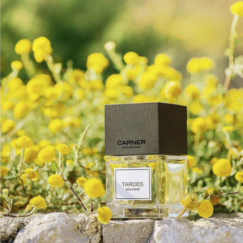 Sample Vial - CARNER BARCELONA Tardes Eau de Parfum - Image 3