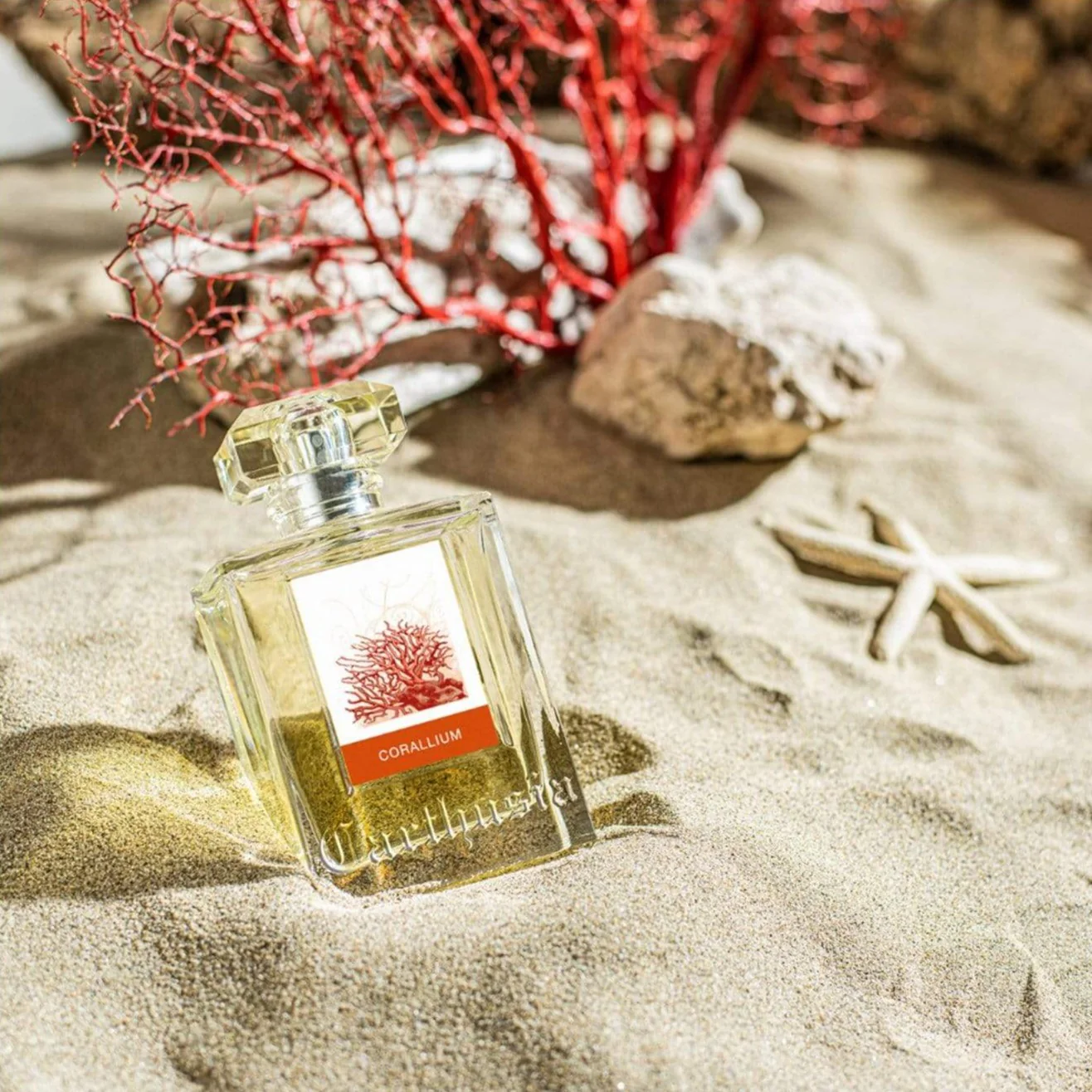 Sample Vial - CARTHUSIA Corallium Eau de Parfum - Image 3