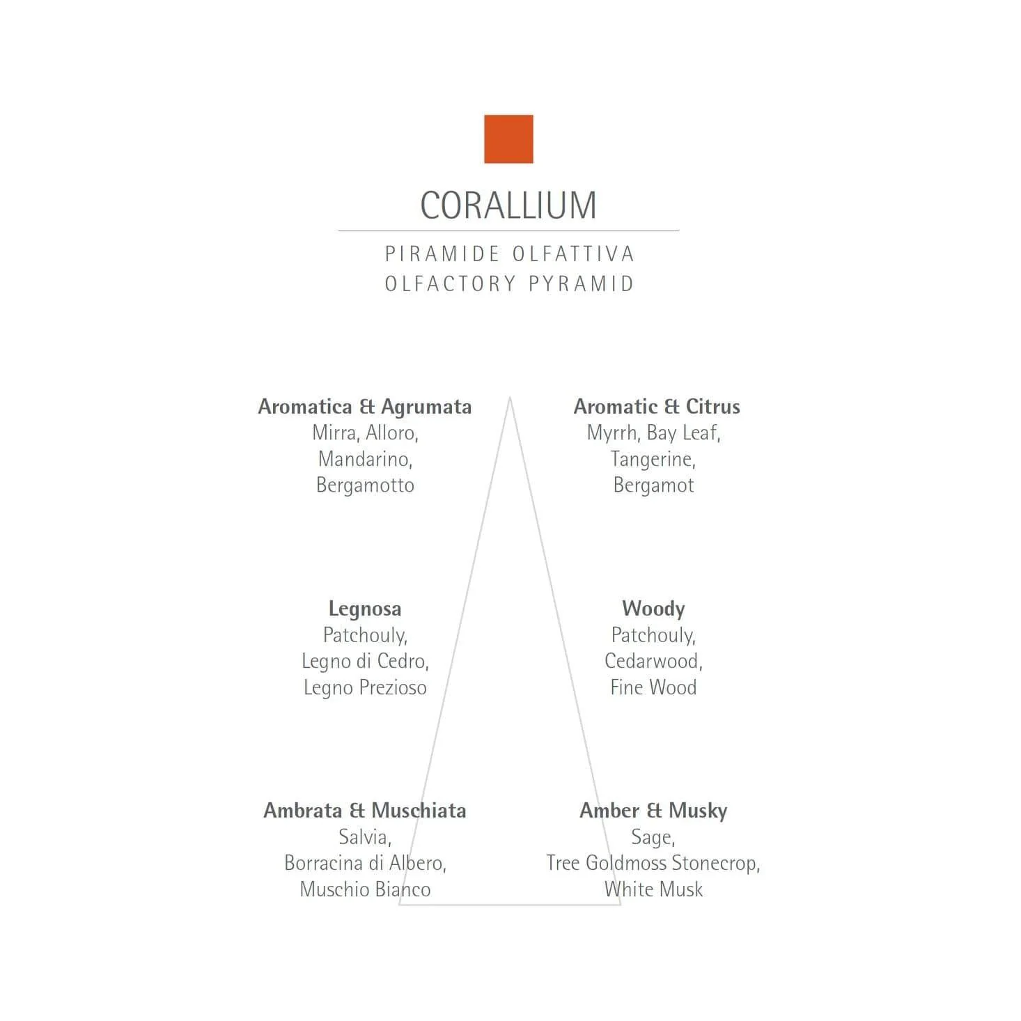 Sample Vial - CARTHUSIA Corallium Eau de Parfum - Image 4