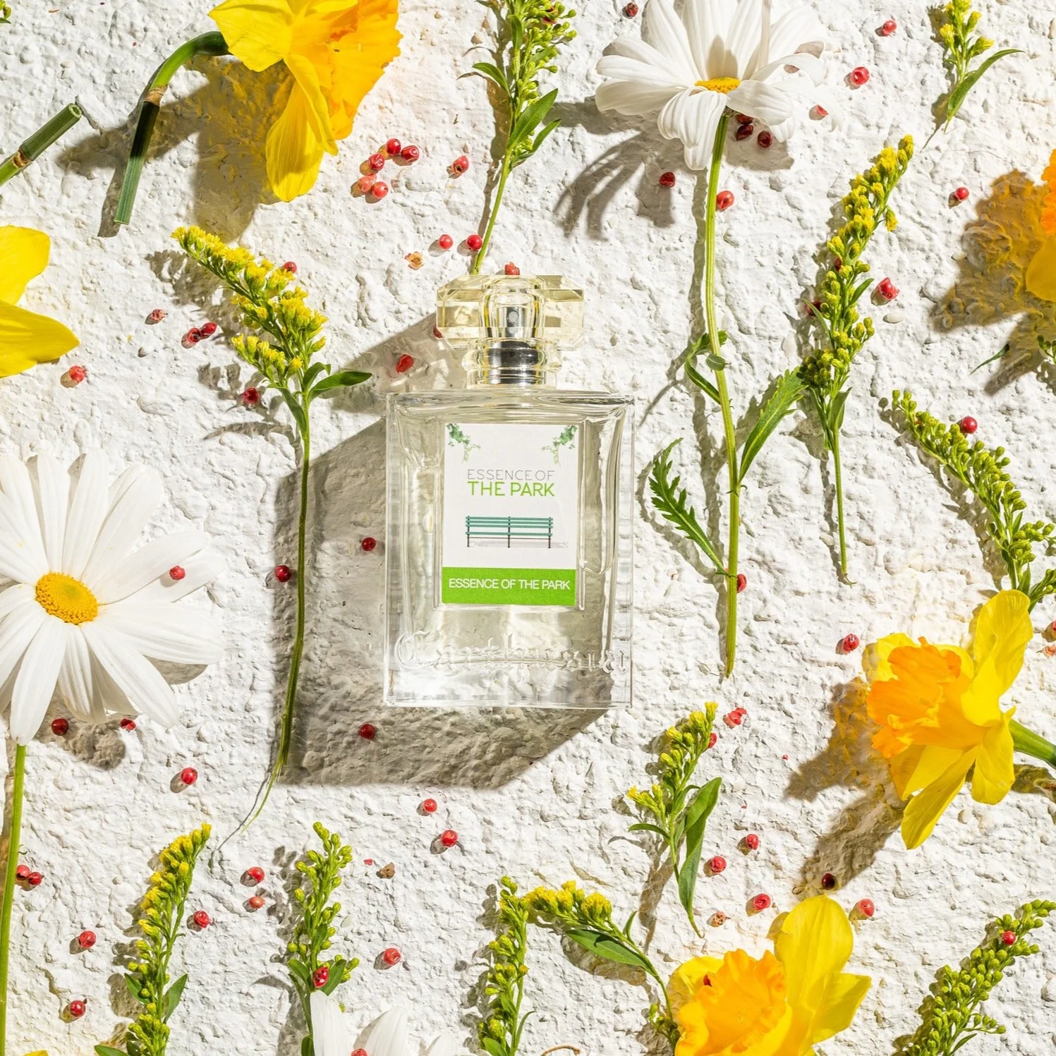 Sample Vial - CARTHUSIA Essence of The Park Eau de Parfum - Image 2