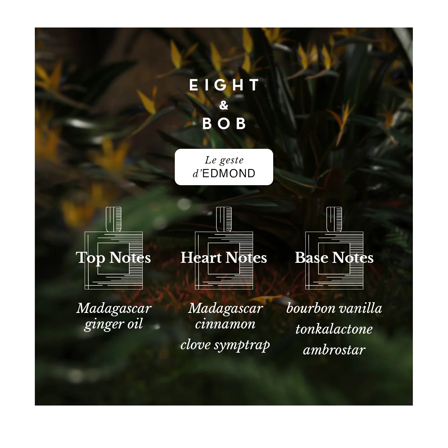 Eight & Bob Le Geste d'Edmond Extrait de Parfum - 50ml - Image 3
