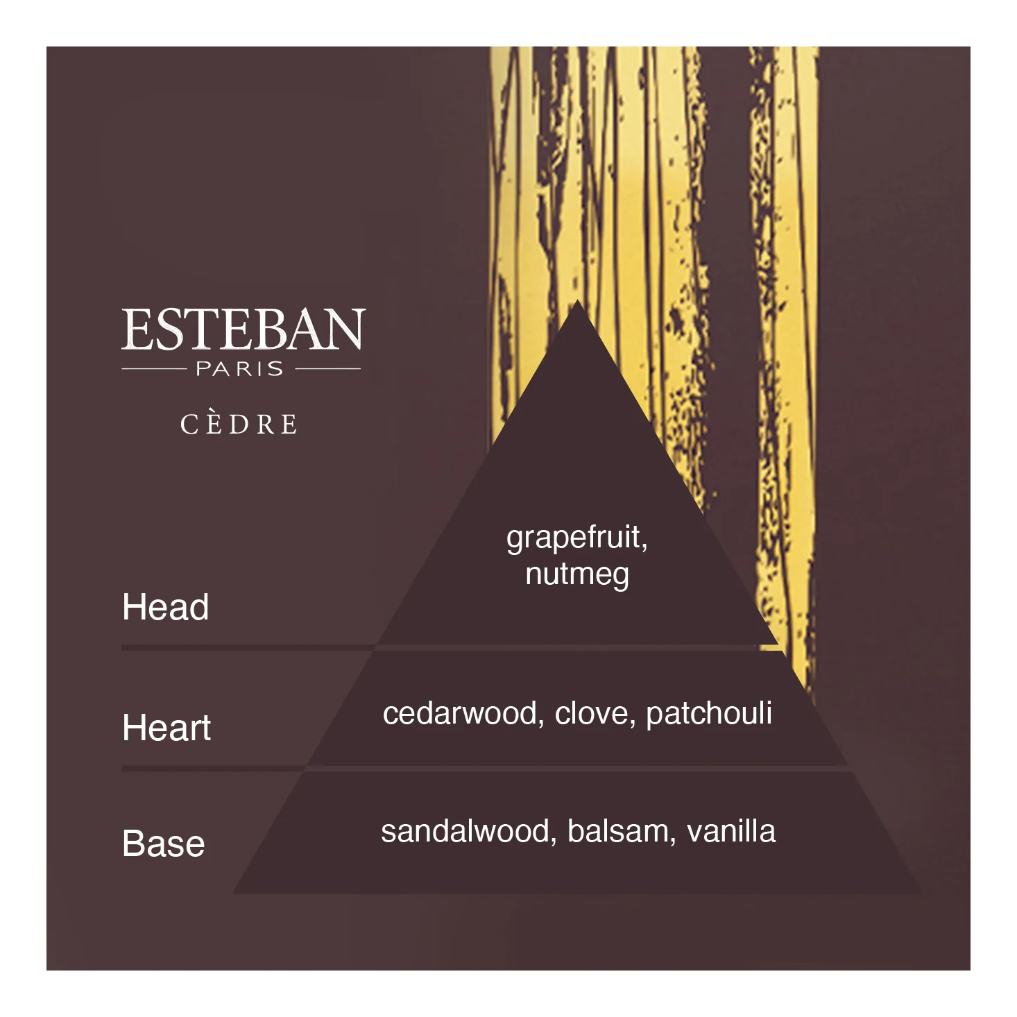 Esteban Cèdre Vacuum Cleaner Powder - Image 4