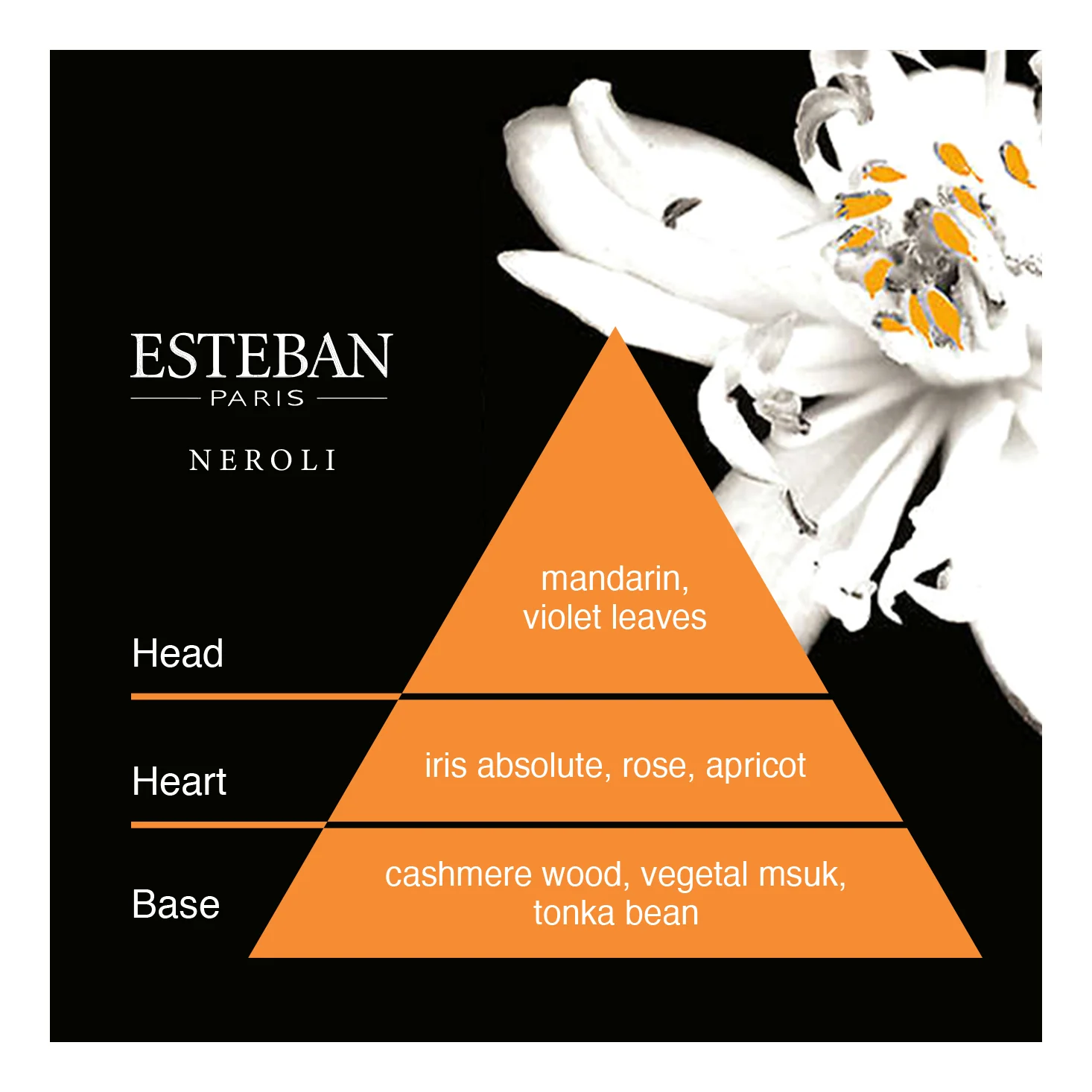 Esteban Neroli Bamboo Incense - Image 4