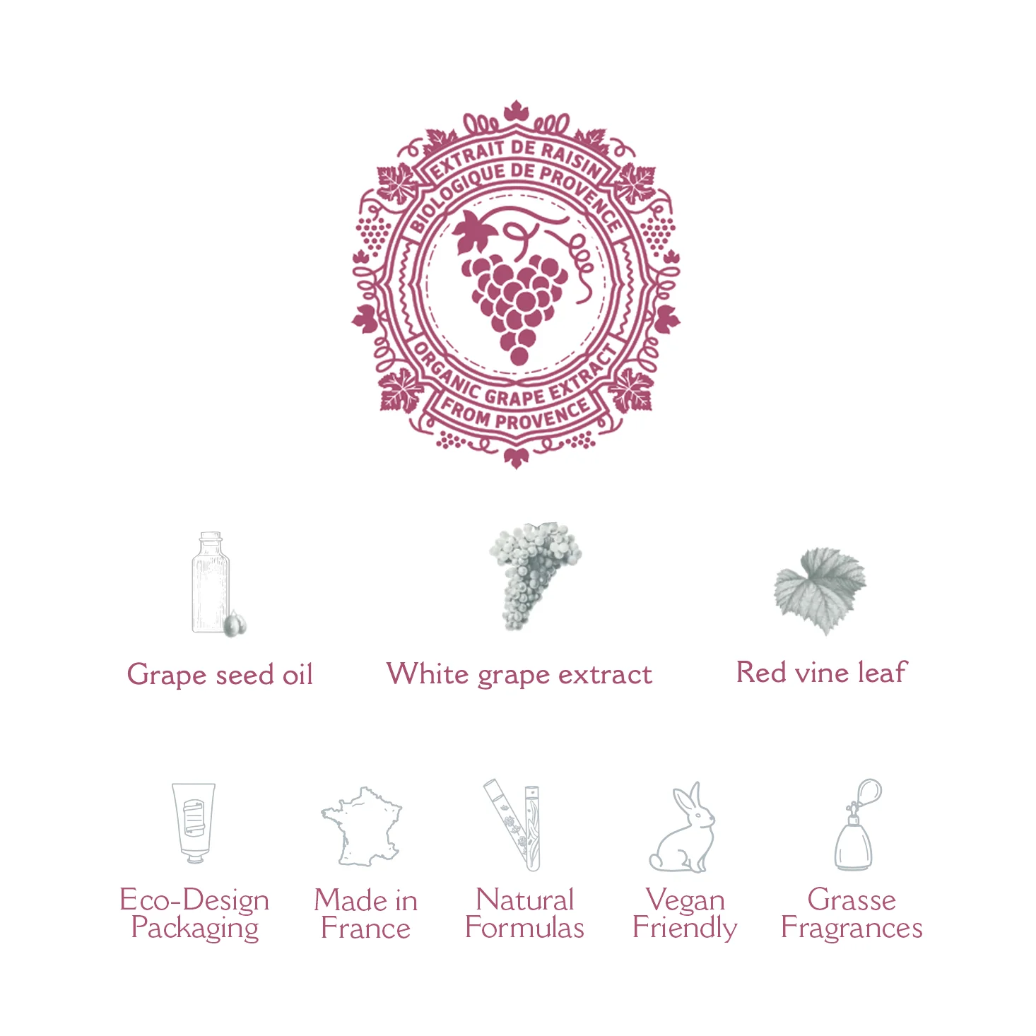 Panier des Sens Renewing Grape Smoothing Body Scrub - FEW REMAIN! - Image 3