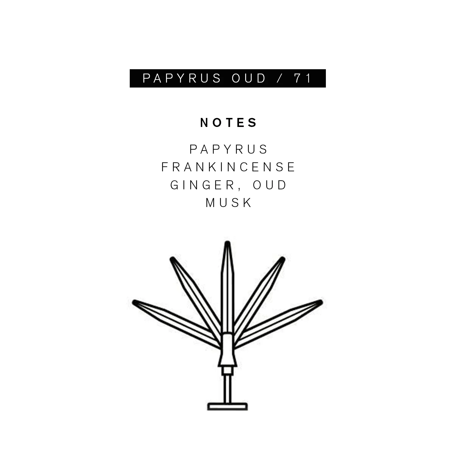 Sample Vial - Parle Moi Papyrus Oud / 71 Eau de Parfum - Image 2