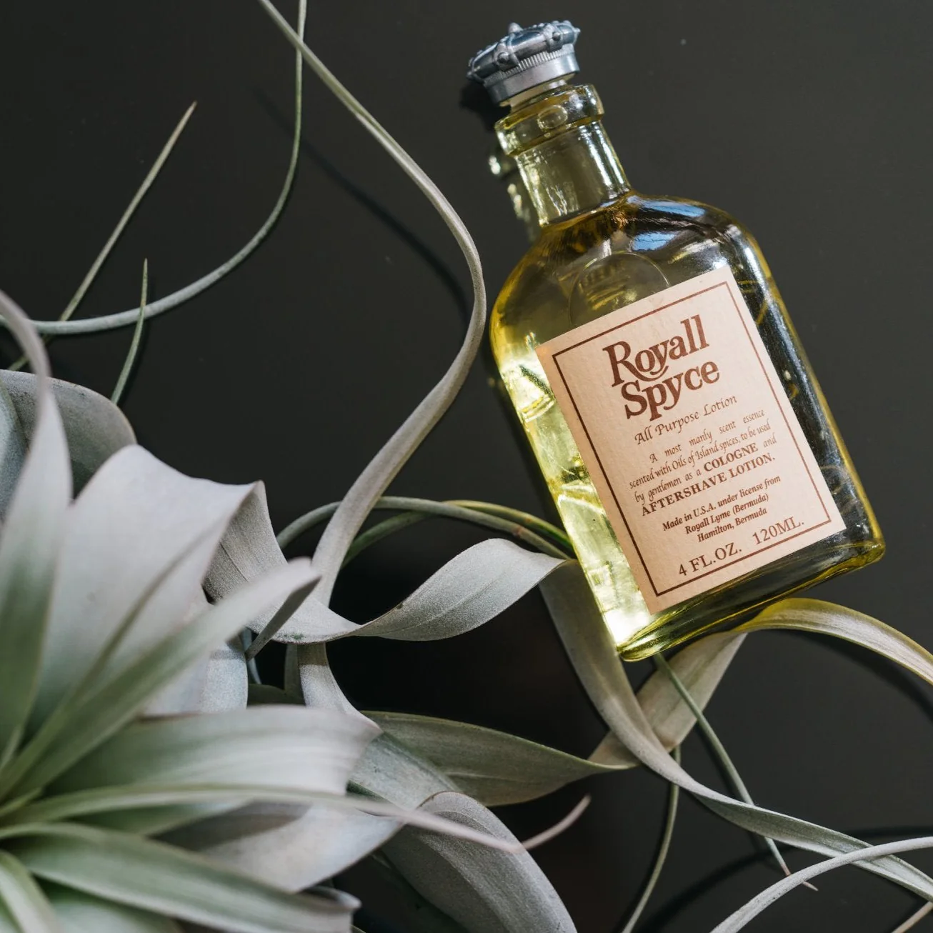 Sample Vial - Royall Lyme Royall Spyce Cologne - Image 3
