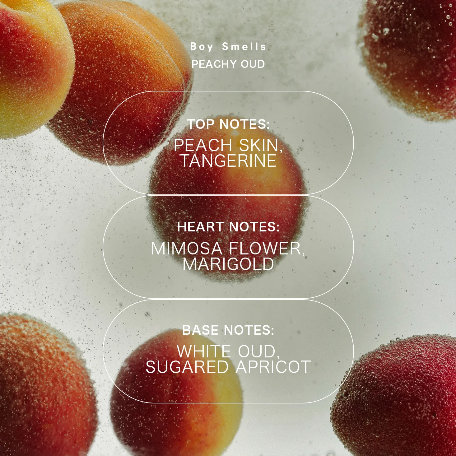 Sample Vial - Boy Smells Peachy Oud Fine Fragrance - Image 2