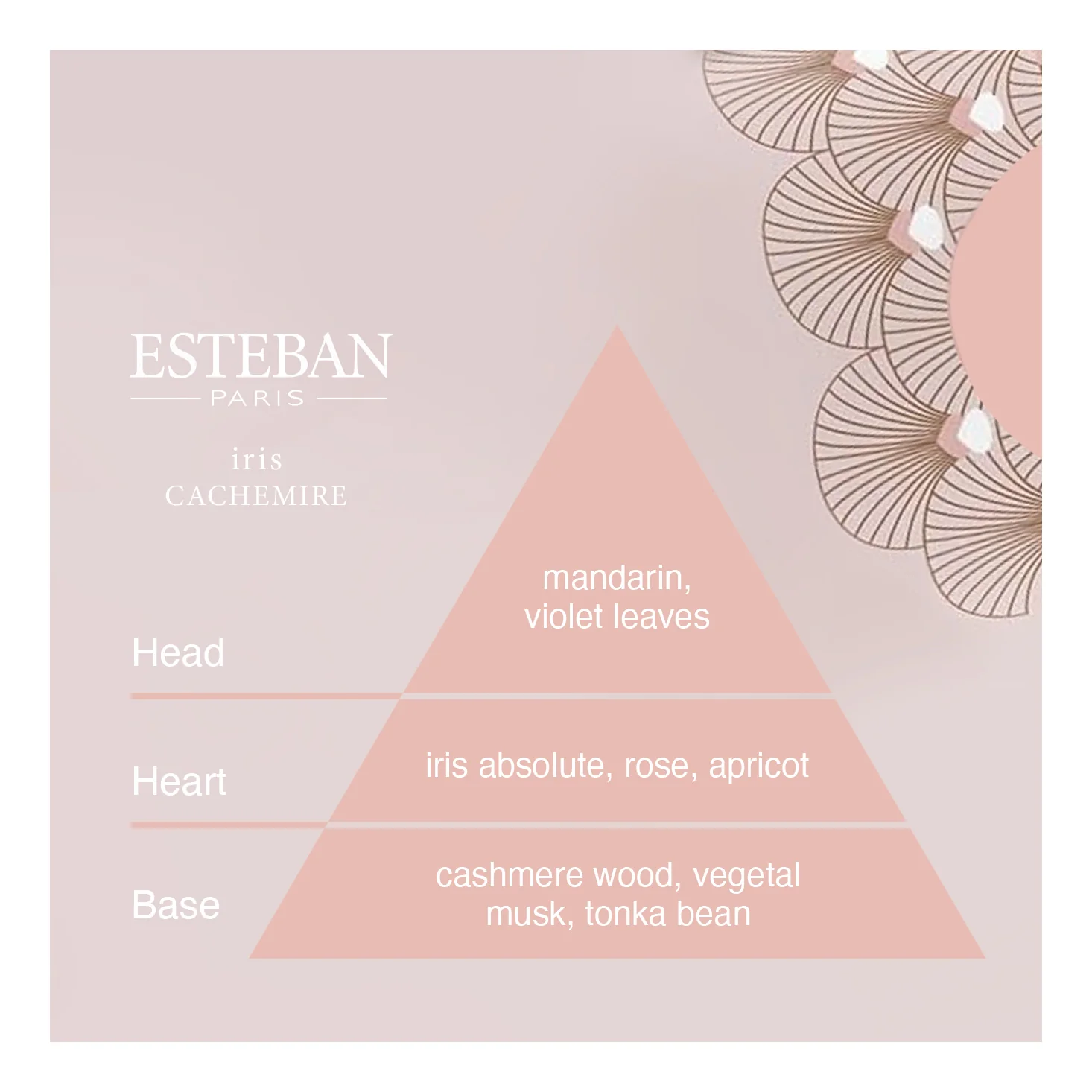 Sample Vial - Esteban Iris Cachemire Room Spray