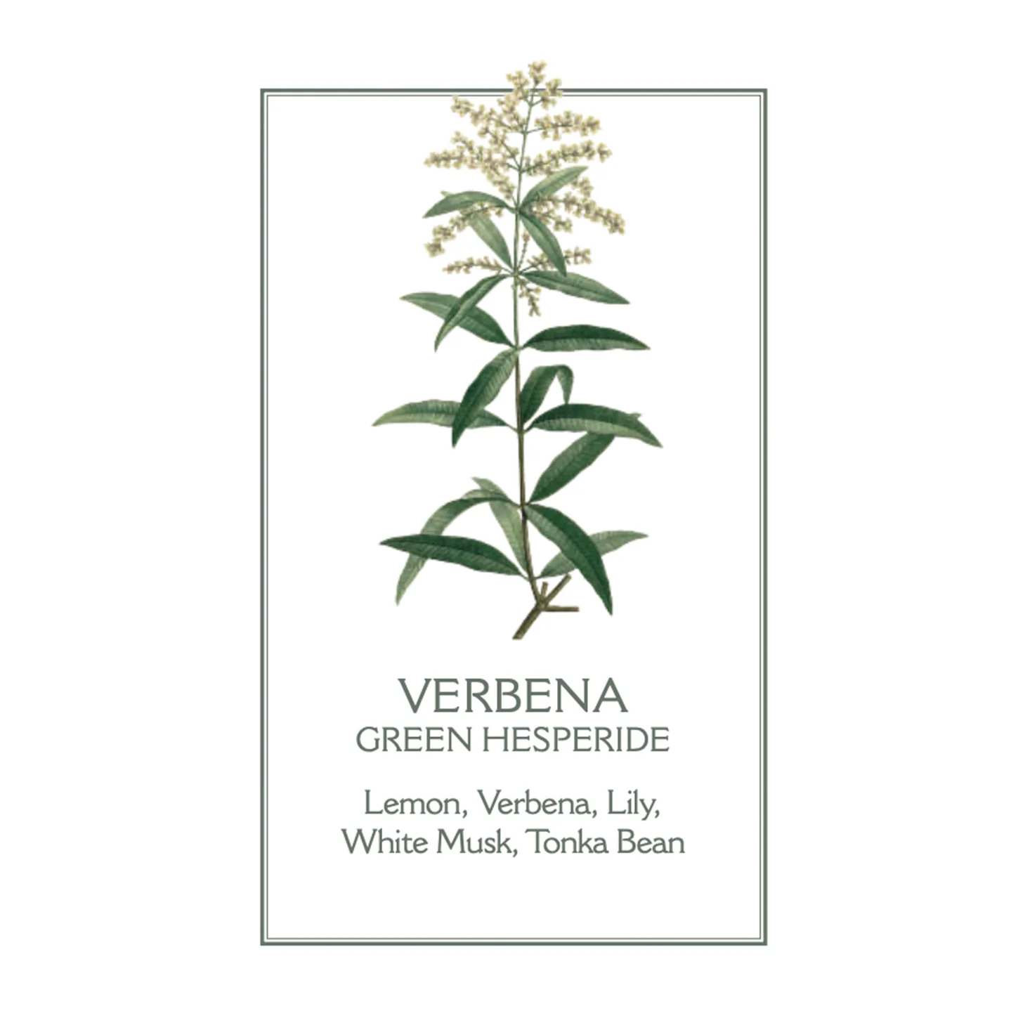Sample Vial - Panier des Sens Verbena EDT