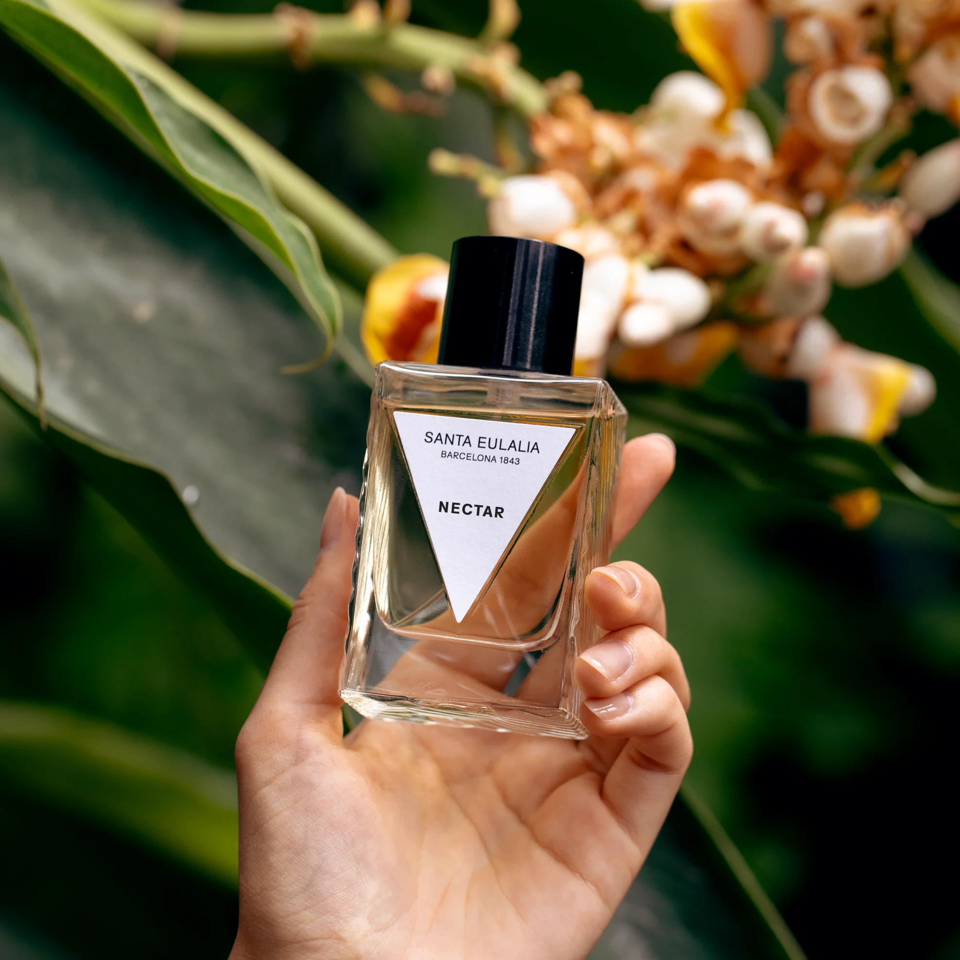 Sample Vial - Santa Eulalia Nectar Eau de Parfum - Image 3