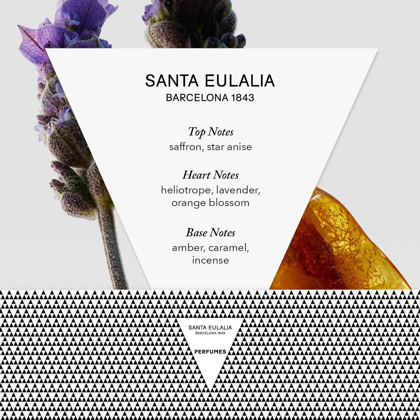 Santa Eulalia Obscuro Eau de Parfum - 75ml - Image 3